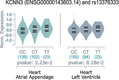 Mechanisms of Action of the KCa2-Negative Modulator AP30663, a Novel Compound in Development for Treatment of Atrial Fibrillation in Man